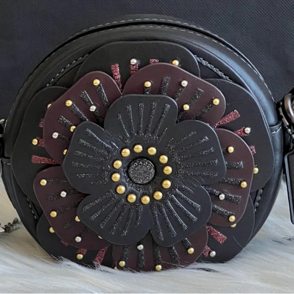 NWT! Coach mini tearose appliqué crossbody and mini wallet set